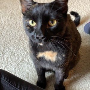 Meet your Posher, Kristin